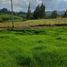  Land for sale in San Pedro De Los Milagros, Antioquia, San Pedro De Los Milagros