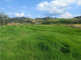  Land for sale in San Pedro De Los Milagros, Antioquia, San Pedro De Los Milagros