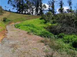  Terreno (Parcela) en venta en San Vicente, Antioquia, San Vicente