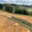 Terrain à vendre à Rionegro, Antioquia, Rionegro