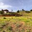 Terrain à vendre à Guarne, Antioquia, Guarne, Antioquia, Colombie
