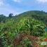 Studio Villa for sale in Viterbo, Caldas, Viterbo
