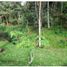 Terrain à vendre à Retiro, Antioquia, Retiro