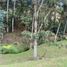 Terrain à vendre à Retiro, Antioquia, Retiro