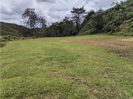 Terrain à vendre à Rionegro, Antioquia, Rionegro