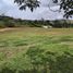 Terrain à vendre à Rionegro, Antioquia, Rionegro