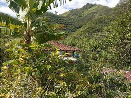 2 Schlafzimmer Villa zu verkaufen in Santa Rosa De Cabal, Risaralda, Santa Rosa De Cabal, Risaralda, Kolumbien