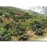 2 Schlafzimmer Villa zu verkaufen in Santa Rosa De Cabal, Risaralda, Santa Rosa De Cabal, Risaralda, Kolumbien