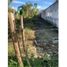  Land for sale in Jalpa De Mendez, Tabasco, Jalpa De Mendez, Tabasco
