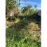  Land for sale in Jalpa De Mendez, Tabasco, Jalpa De Mendez, Tabasco