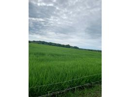  Terreno (Parcela) en venta en Panamá, Chepo, Chepo, Panamá