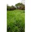  Terreno (Parcela) en venta en Panamá, Chepo, Chepo, Panamá