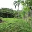  Land for sale in Colon, Buena Vista, Colon, Colon