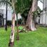  Land for sale in Cuernavaca, Morelos, Cuernavaca