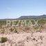  Land for sale in General Cepeda, Coahuila, General Cepeda