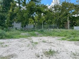  Grundstück zu verkaufen in Parras, Coahuila, Parras