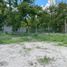  Land for sale in Parras, Coahuila, Parras