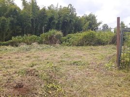  Terreno (Parcela) en venta en Dosquebradas, Risaralda, Dosquebradas