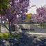 2 Bedroom Apartment for sale in Chapala, Jalisco, Chapala