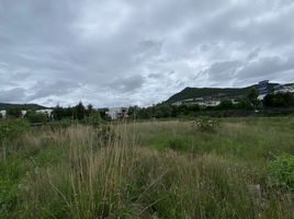  Terreno (Parcela) en venta en Morelia, Michoacán, Morelia, Michoacán