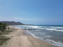  Terreno (Parcela) en venta en La Union, Guerrero, La Union
