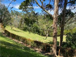  Terreno (Parcela) en venta en El Carmen De Viboral, Antioquia, El Carmen De Viboral