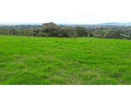  Terreno (Parcela) en venta en El Carmen De Viboral, Antioquia, El Carmen De Viboral