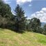  Land for sale in La Ceja, Antioquia, La Ceja