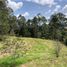  Land for sale in La Ceja, Antioquia, La Ceja