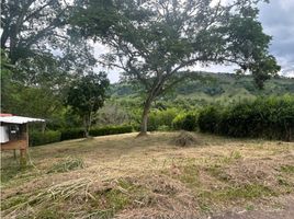  Terrain for sale in Neira, Caldas, Neira