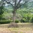  Land for sale in Caldas, Neira, Caldas