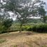  Terrain for sale in Neira, Caldas, Neira