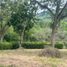  Terrain for sale in Neira, Caldas, Neira