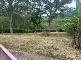  Land for sale in Caldas, Neira, Caldas