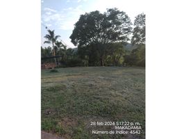  Land for sale in Caldas, Neira, Caldas