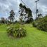 5 Habitación Casa en venta en La Ceja, Antioquia, La Ceja