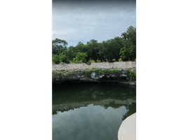  Terreno (Parcela) en venta en Puerto Morelos, Quintana Roo, Puerto Morelos