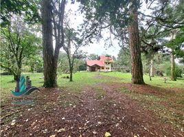 3 Schlafzimmer Villa zu verkaufen in Dolega, Chiriqui, Potrerillos