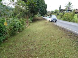  Land for sale in Colon, Buena Vista, Colon, Colon