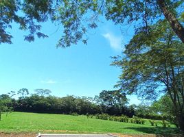  Terreno for sale in São Gabriel de Cahoeira, Amazonas, São Gabriel da Cachoeira, São Gabriel de Cahoeira