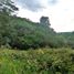  Terreno for sale in São Gabriel de Cahoeira, Amazonas, São Gabriel da Cachoeira, São Gabriel de Cahoeira