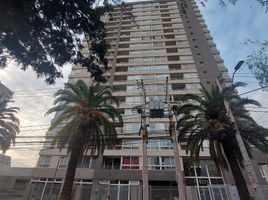 1 Habitación Departamento en alquiler en Cordillera, Santiago, Puente Alto, Cordillera