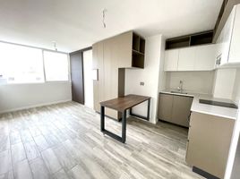 1 Bedroom Condo for rent in Cordillera, Santiago, Puente Alto, Cordillera