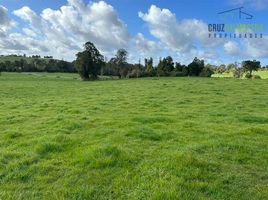  Land for sale in Puerto Varas, Llanquihue, Puerto Varas