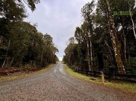  Terreno (Parcela) en venta en Puerto Montt, Llanquihue, Puerto Montt