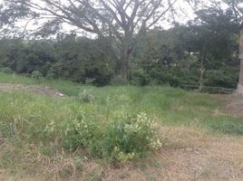  Land for sale in Garzon, Huila, Garzon