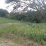  Land for sale in Garzon, Huila, Garzon