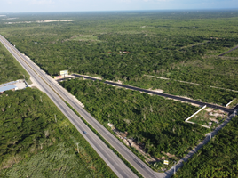  Terreno (Parcela) en venta en Yaxkukul, Yucatán, Yaxkukul