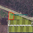 Terreno (Parcela) en venta en Yaxkukul, Yucatán, Yaxkukul