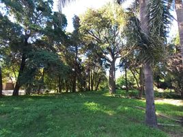  Land for sale in Castellanos, Santa Fe, Castellanos